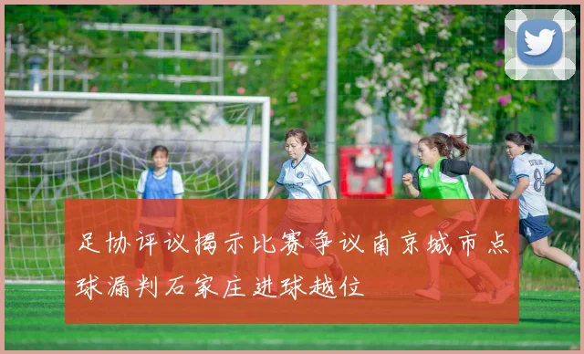 足协评议揭示比赛争议南京城市点球漏判石家庄进球越位
